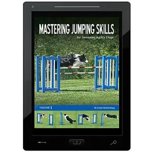 Mastering Jumping Skills for Awesome Agility Dogs E