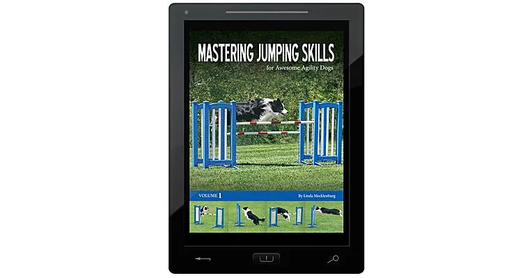 Mastering Jumping Skills for Awesome Agility Dogs E