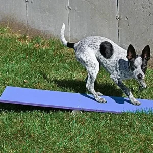 Max 200 Tippy Plank