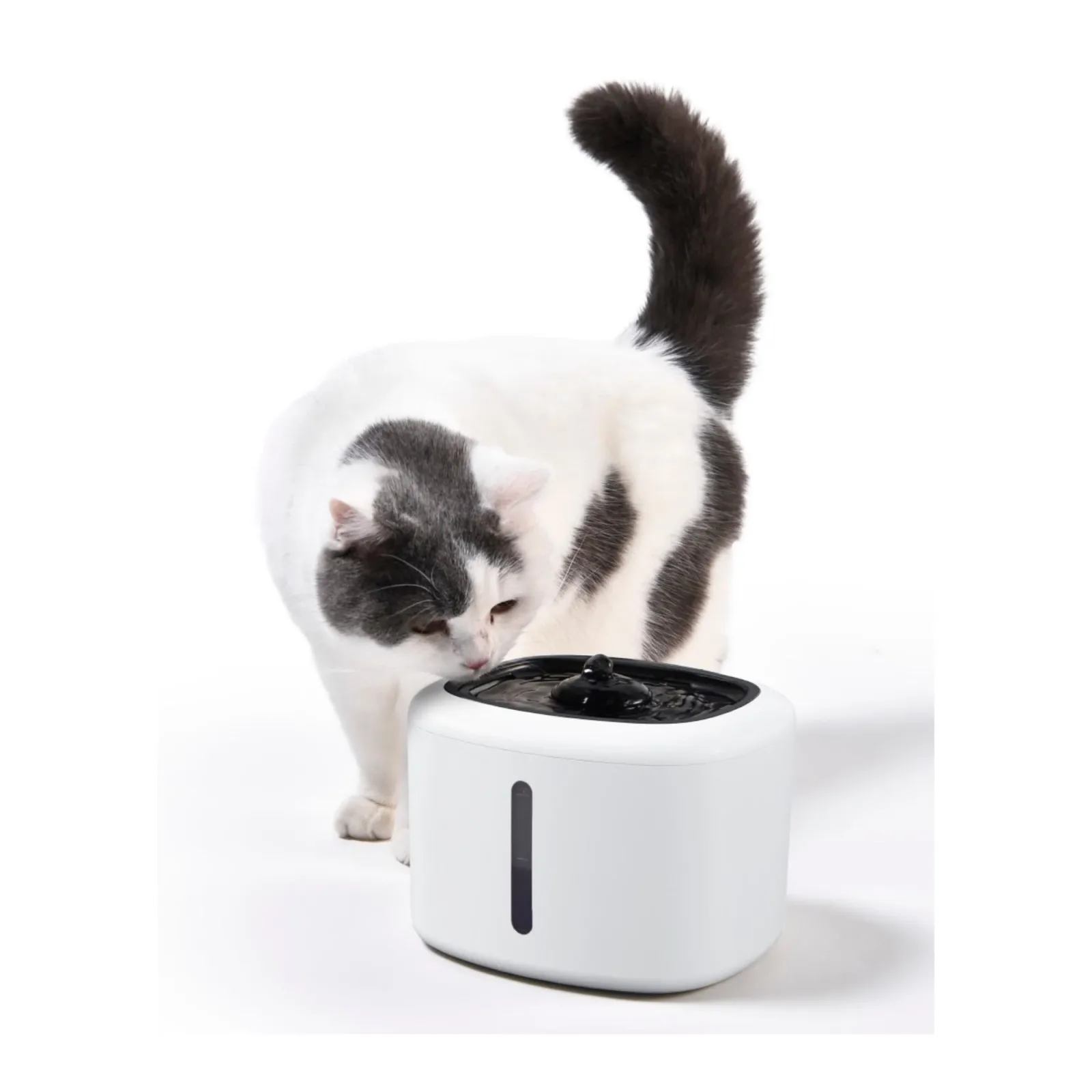 Max & Marlow Automatic Water Fountain Black & White, 84 oz - Image 2