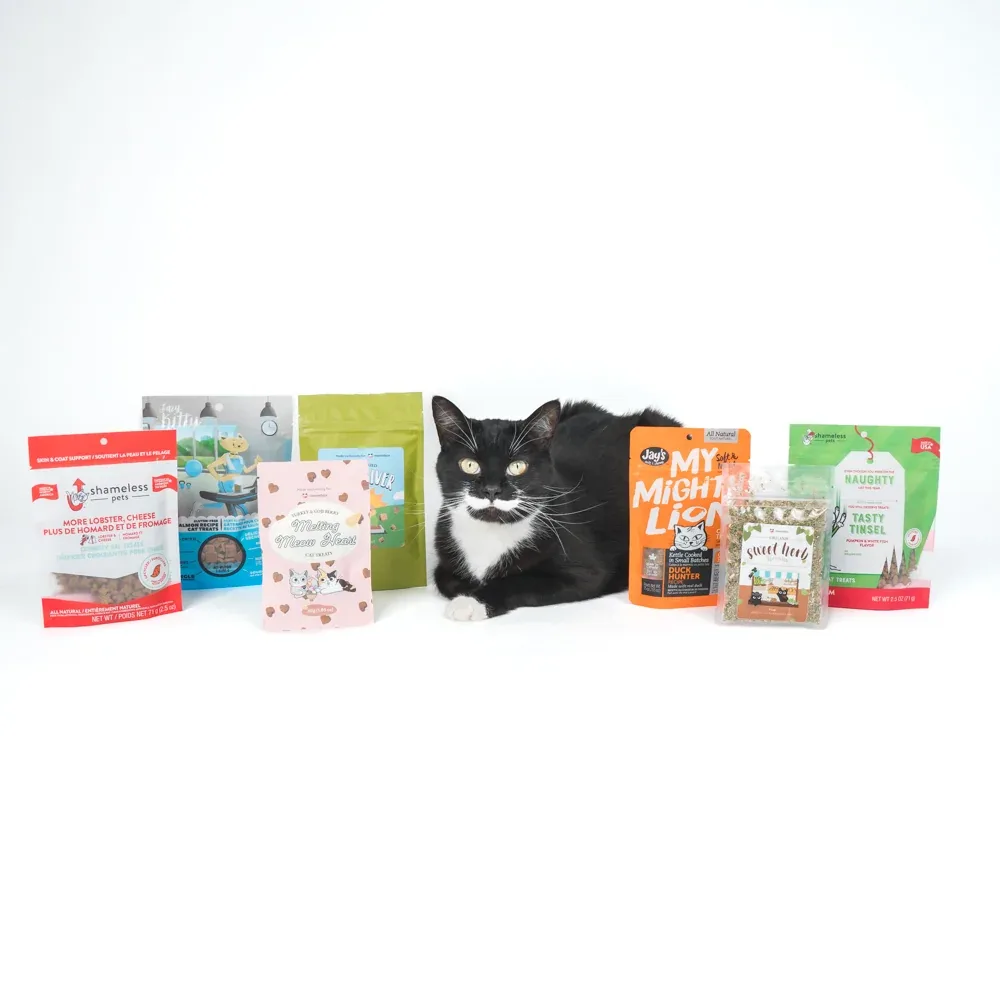 Meowstery Bag Treats - 7 items