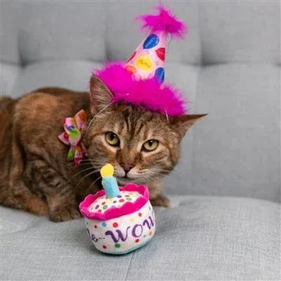 Mewow Cake Plush Cat Toy - Image 2