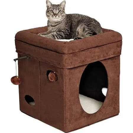 Midwest Curious Cat Cube by Feline Nuvo {L-1}277100