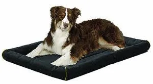 Midwest Quiet Time Maxx Bed Black 35x24 {L-1}277229