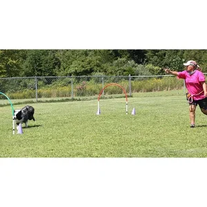Monthly Distance Challenge: Expand Your Distance Handling Skills
