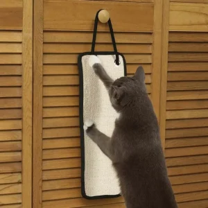 MT Stretch N' Scratch, 2-Count