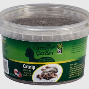 Multipet Catnip Garden North American Catnip Sealed Cup, 1.5 oz