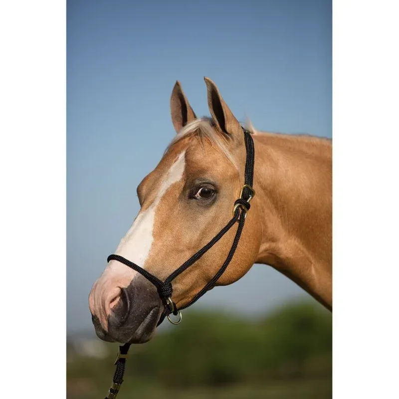 Mustang Be Good Control Poly Rope Halter - Image 2