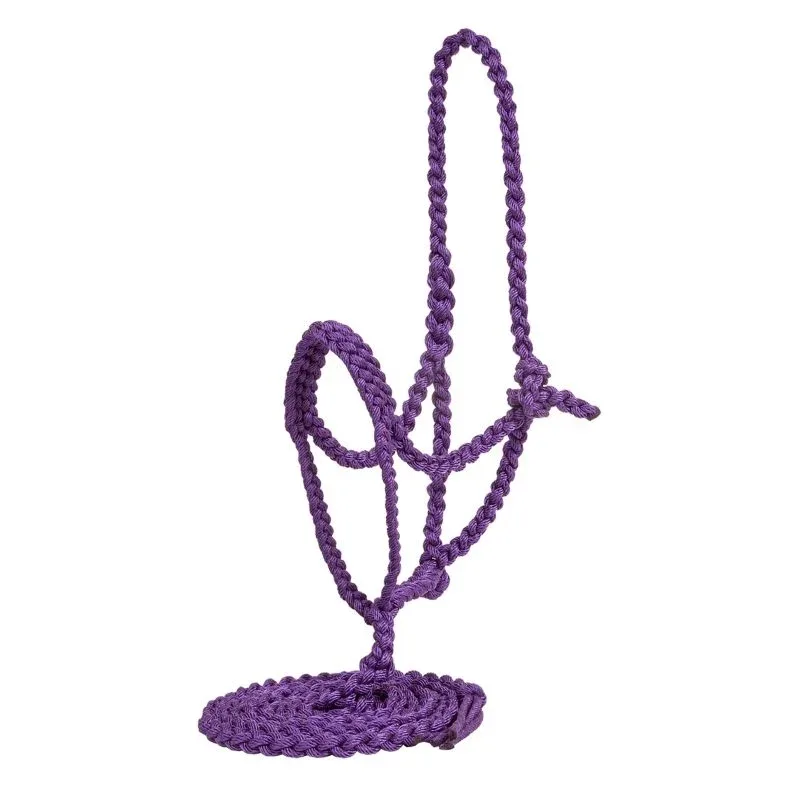 Mustang Flat Plaited Noseband Halter with Lead - Image 2