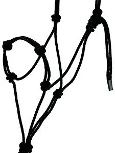 Mustang Yearling Knotted Training Halter with Lead