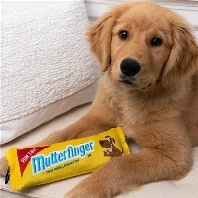 Mutterfinger Dog Toy Small - Image 2