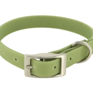MuttNation Fueled by Miranda Lambert Waterproof Dog Collar Sage 1 X 19-24