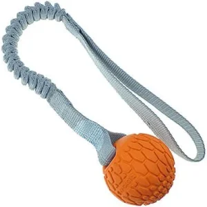 N-Gage Squeaker Ball with Bungee Handle
