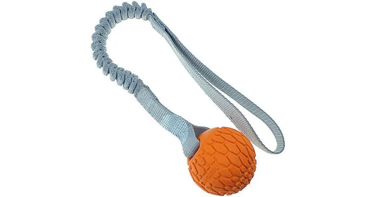 N-Gage Squeaker Ball with Bungee Handle
