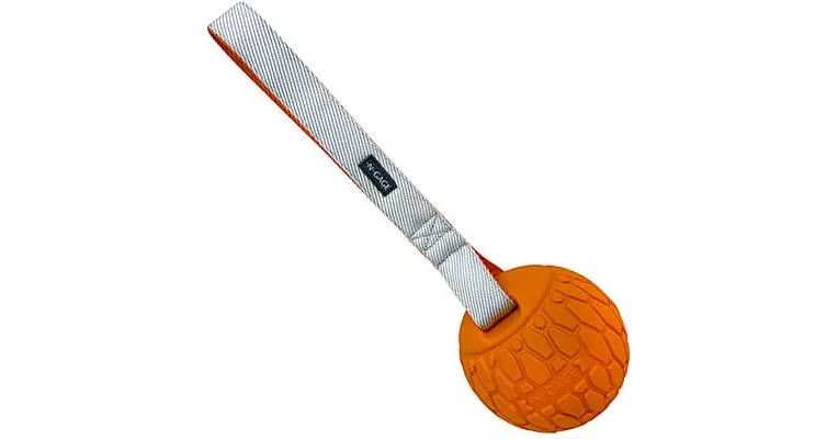 N-Gage Squeaker Ball with Handle