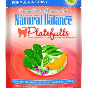 Natural Balance Pet Foods Original Ultra Platefulls Morsels in Gravy Wet Cat Food Pouch Chicken & Pumpkin 3 oz