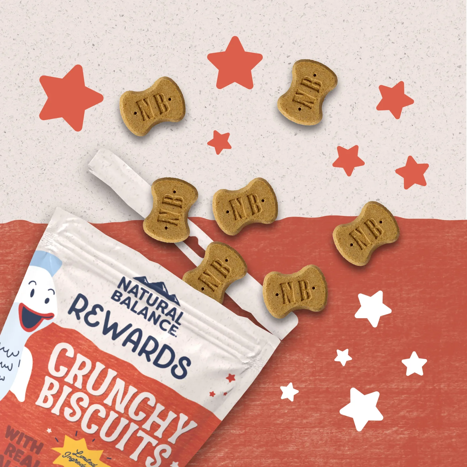 Natural Balance® Rewards Crunchy Biscuits With Real Salmon Dog Treat - Image 2