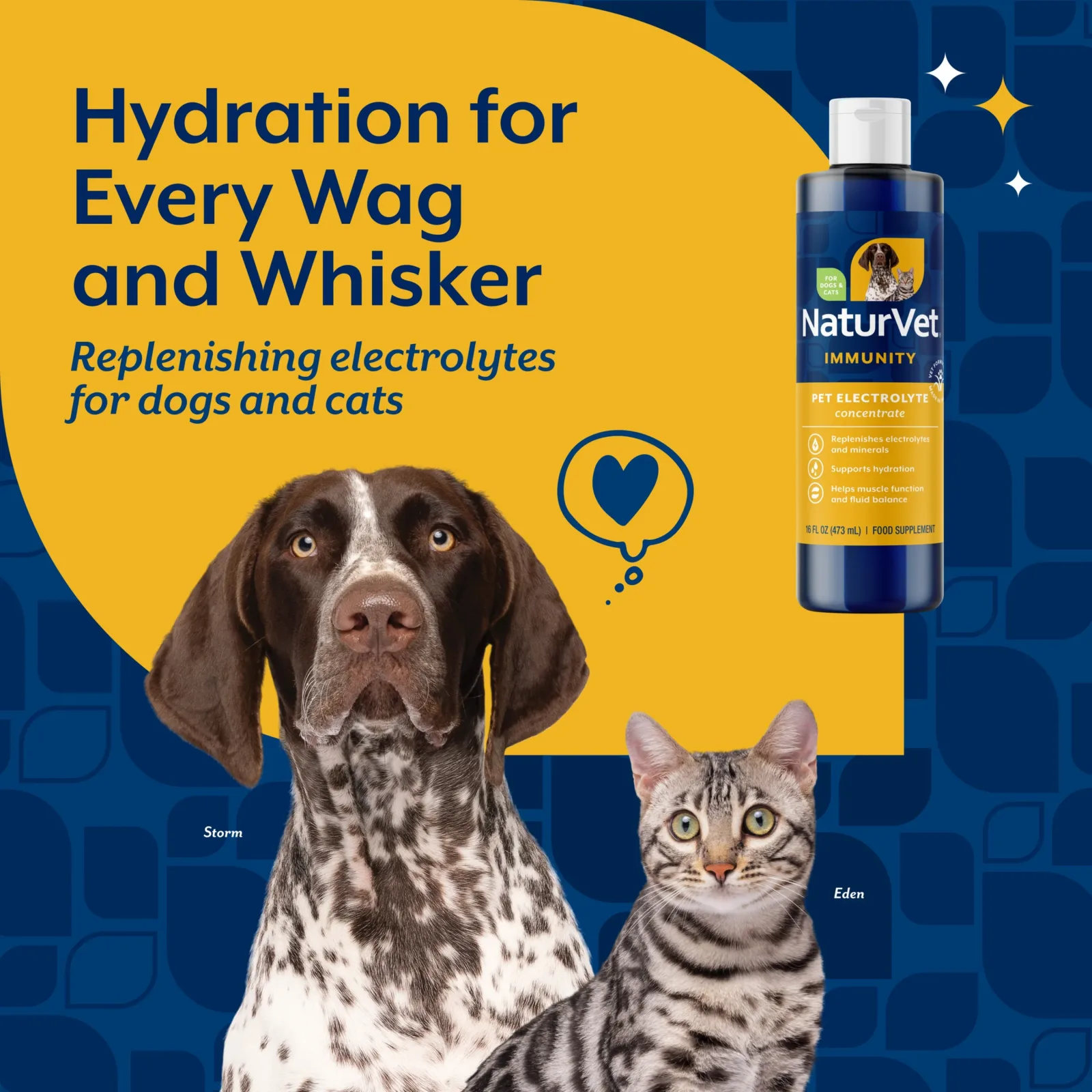 NaturVet Pet Electrolyte Concentrate Immunity Supplement for Dogs and Cats, 16 fl oz - Image 2