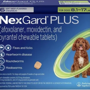 Nexgard Plus Small 8 - 17 lbs (Green) - 6 pack