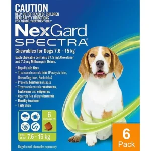 Nexgard Spectra Medium 16 - 33 lbs (7.5 - 15 kg) - 6 pack