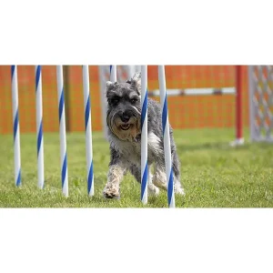 Ninja Weaves Seminar: Training Tools to Solve Common Weave Pole Problems
