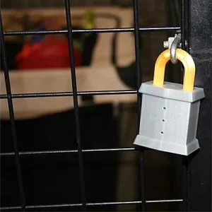 Nose Work Padlock Scent Vessel