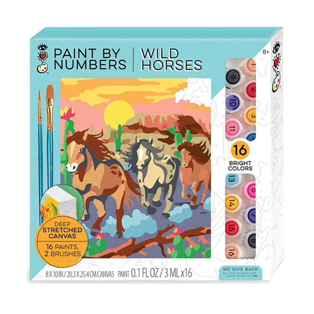 NRS Wild Horses Paint By Number Art Kit