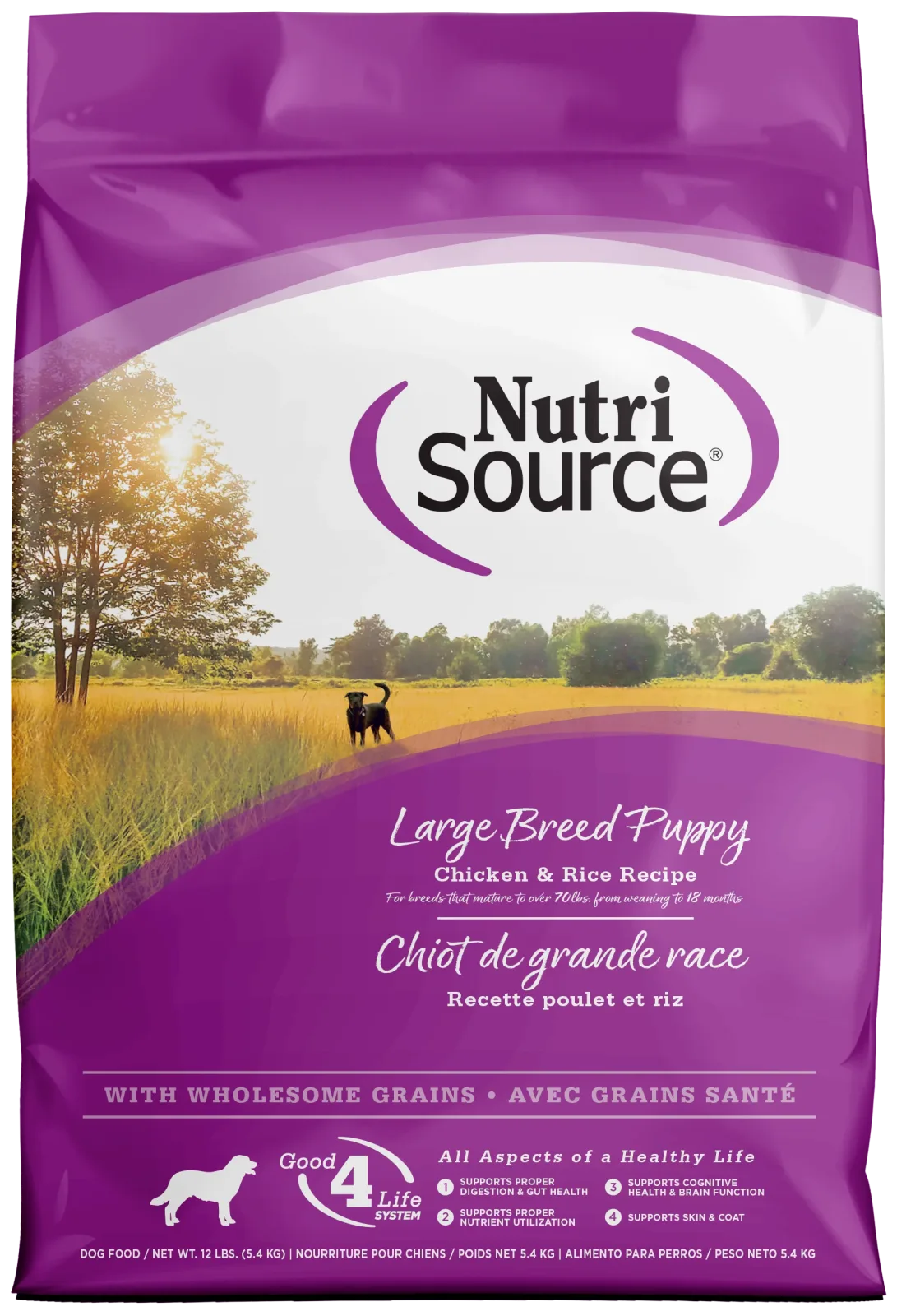 NutriSource Large Breed Puppy Dry Dog Food Chicken & Rice 12 lb