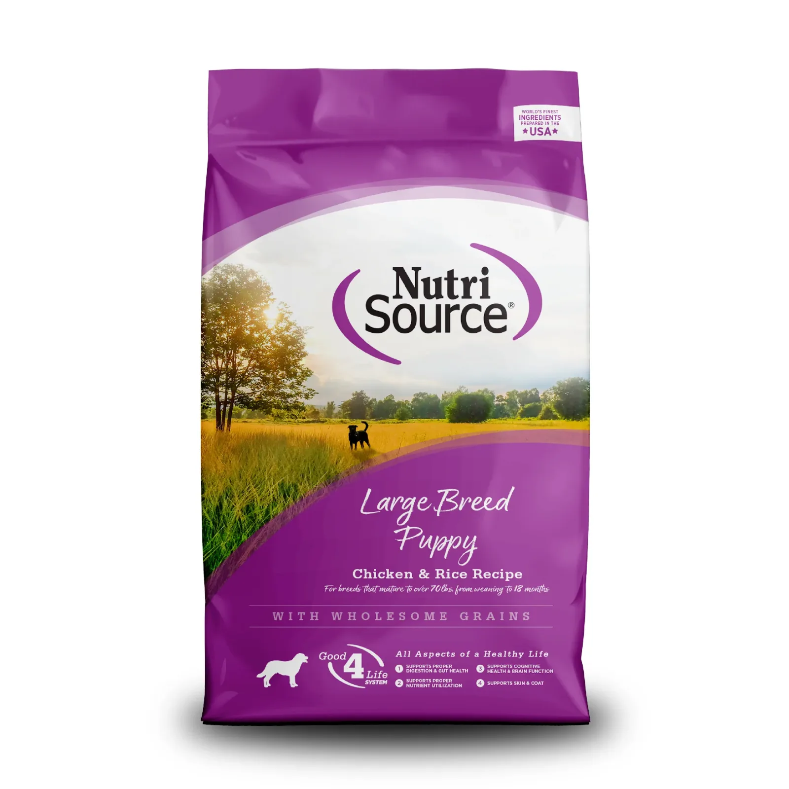 NutriSource Large Breed Puppy Dry Dog Food Chicken & Rice 26 lb