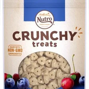 NUTRO Crunchy Dog Treats with Real Mixed Berries, 10 oz. Bag