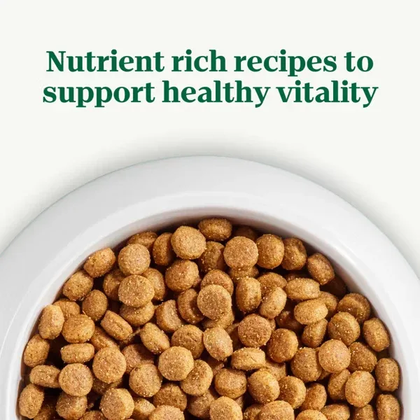 Nutro Natural Choice Adult Dry Dog Food Beef and Brown Rice Recipe, 28lb - Image 2