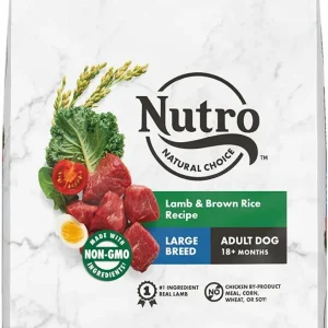 Nutro Wholesome Essentials Large Breed Adult Pasture-Fed Lamb & Rice Dry Dog Food