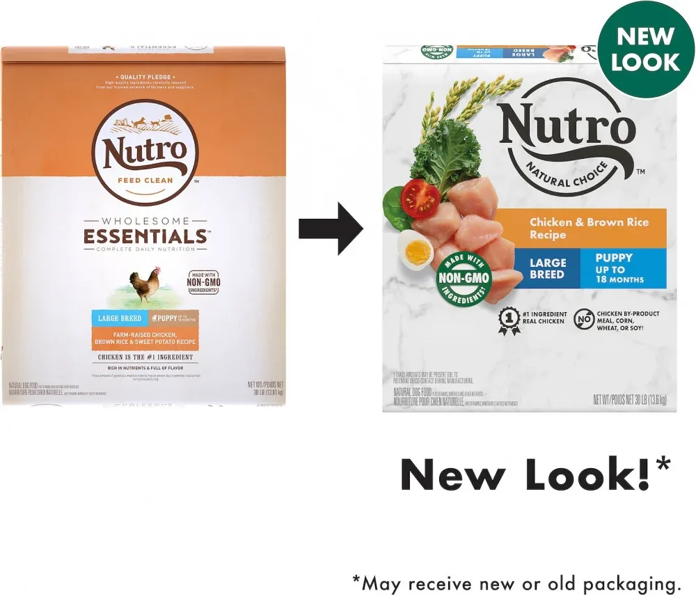 Nutro Wholesome Essentials Large Breed Puppy Farm-Raised Chicken, Brown Rice & Sweet Potato Dry Dog Food - Image 2