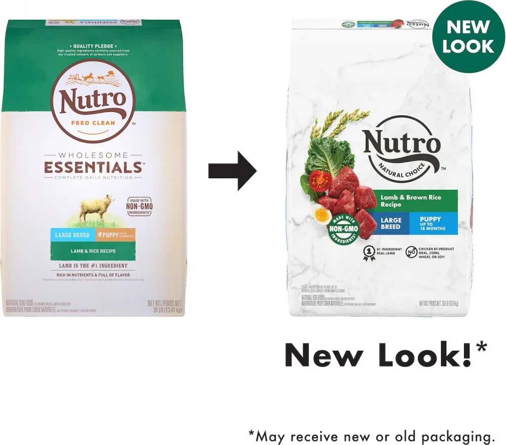 Nutro Wholesome Essentials Large Breed Puppy Pasture-Fed Lamb & Rice Dry Dog Food - Image 2
