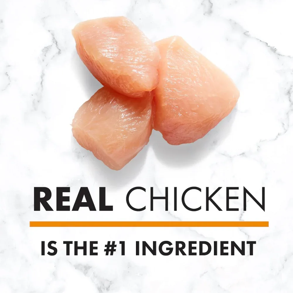 Nutro Wholesome Essentials Puppy Farm-Raised Chicken, Brown Rice & Sweet Potato Dry Dog Food - Image 2