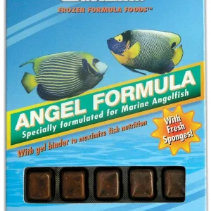 Ocean Nutrition Angel Formula Frozen Fish Food 3.5 oz SD-5