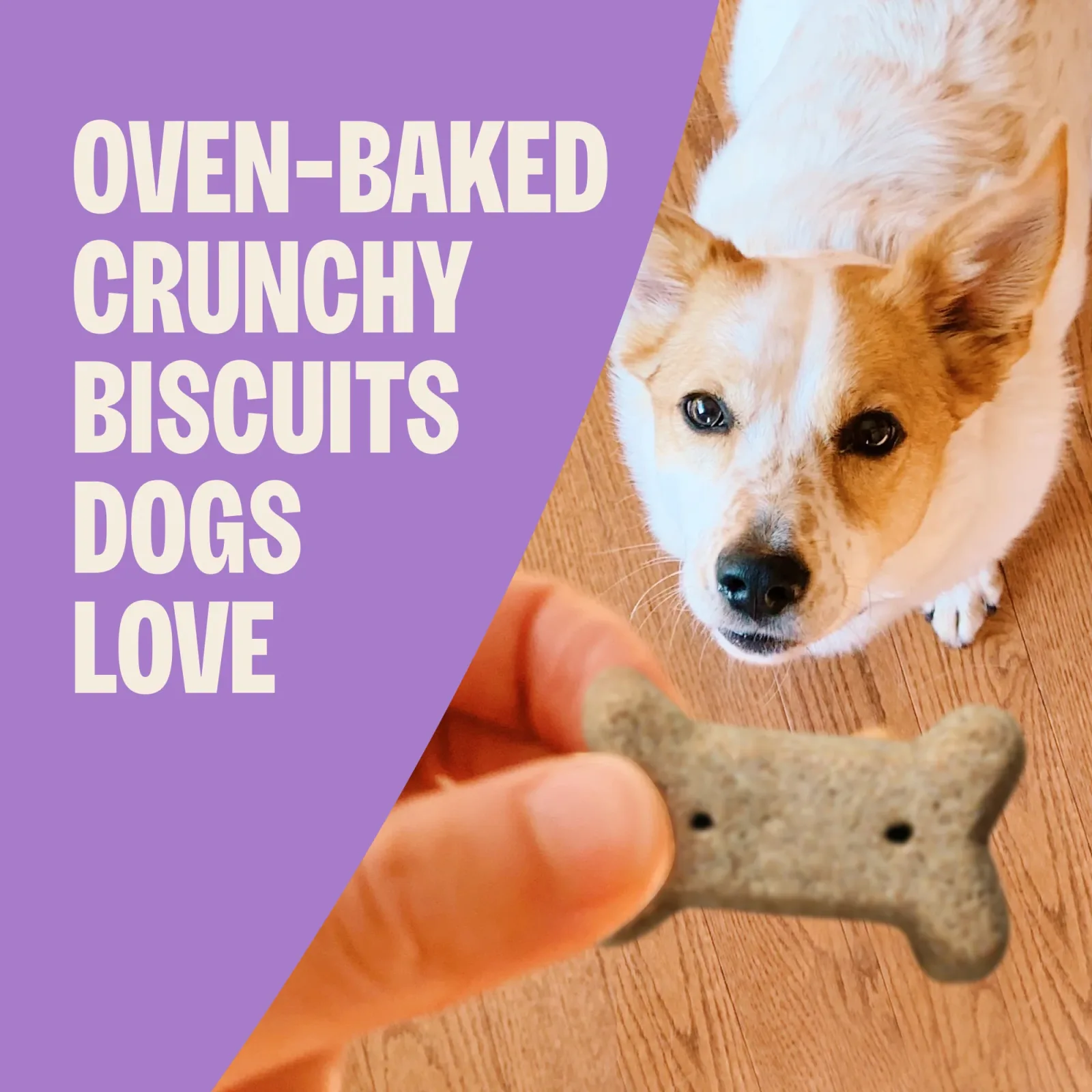 Old Mother Hubbard Crunchy Classic Natural P-Nuttier Small Biscuits Dog Treats - Image 2