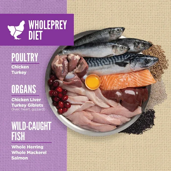 ORIJEN High Protein Amazing Grains Large Breed Puppy Dry Dog Food - Image 2