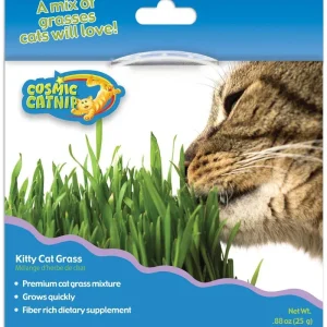 OurPets 100% Natural Kitty Cat Grass 0.88 oz