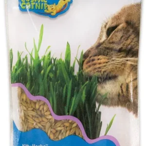 OurPets Kitty Herbs Growable Cat Grass, 5 oz