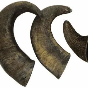 Outback Jack Water Buffalo Bully Horns