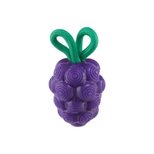Outward Hound Dental Grapes Dental Chew Toy and Interactive Treat Stuffer Medium
