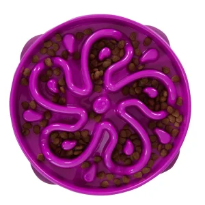 Outward Hound Purple Dog Slow Feeder Bowl, Large