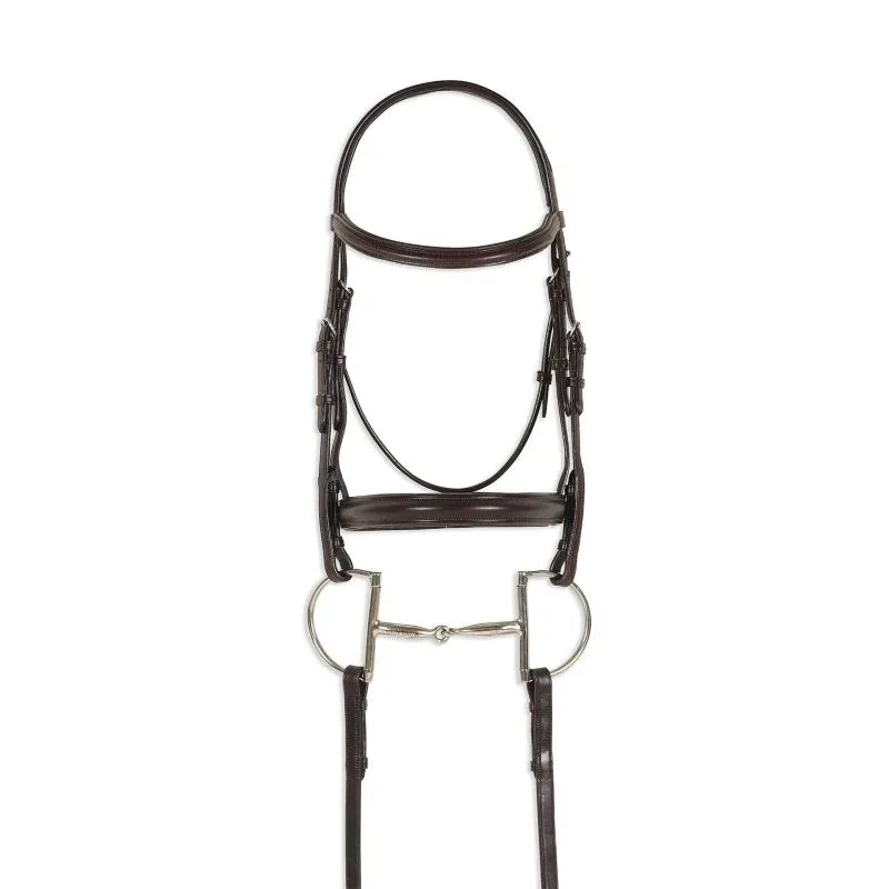 Ovation Breed Plain Raised Padded Bridle