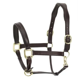 Ovation Fancy Padded Halter Dk Brown