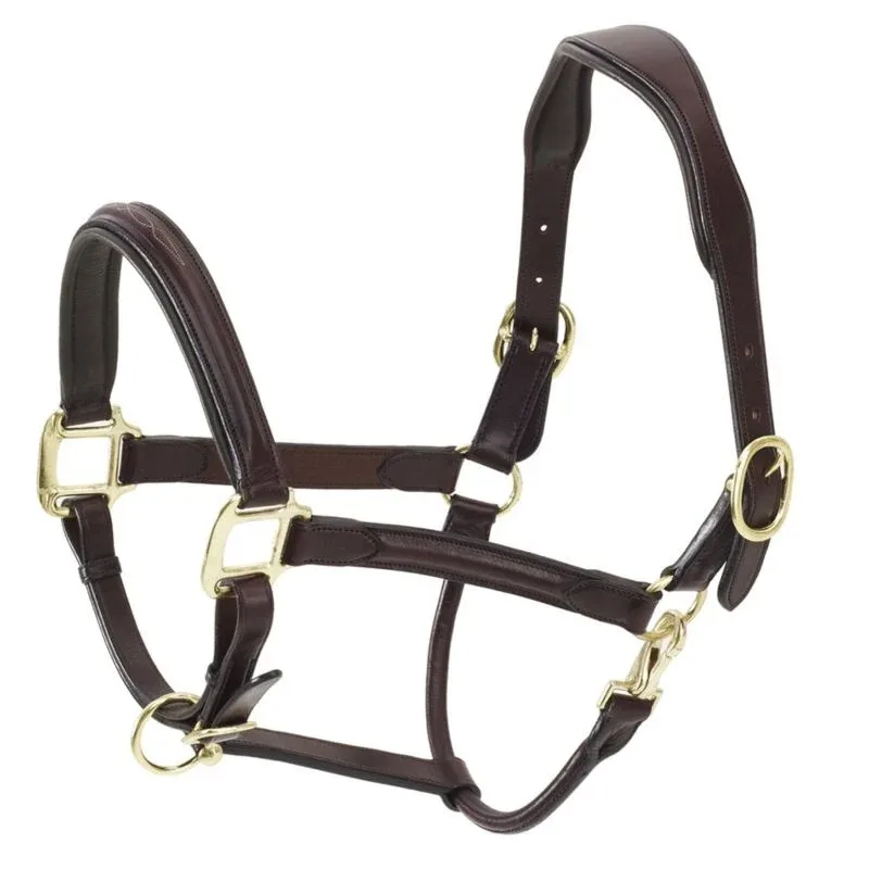 Ovation Fancy Raised Padded Halter Dk Brown