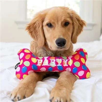 Party Time Bone Dog Toy Pink - Small - Image 2