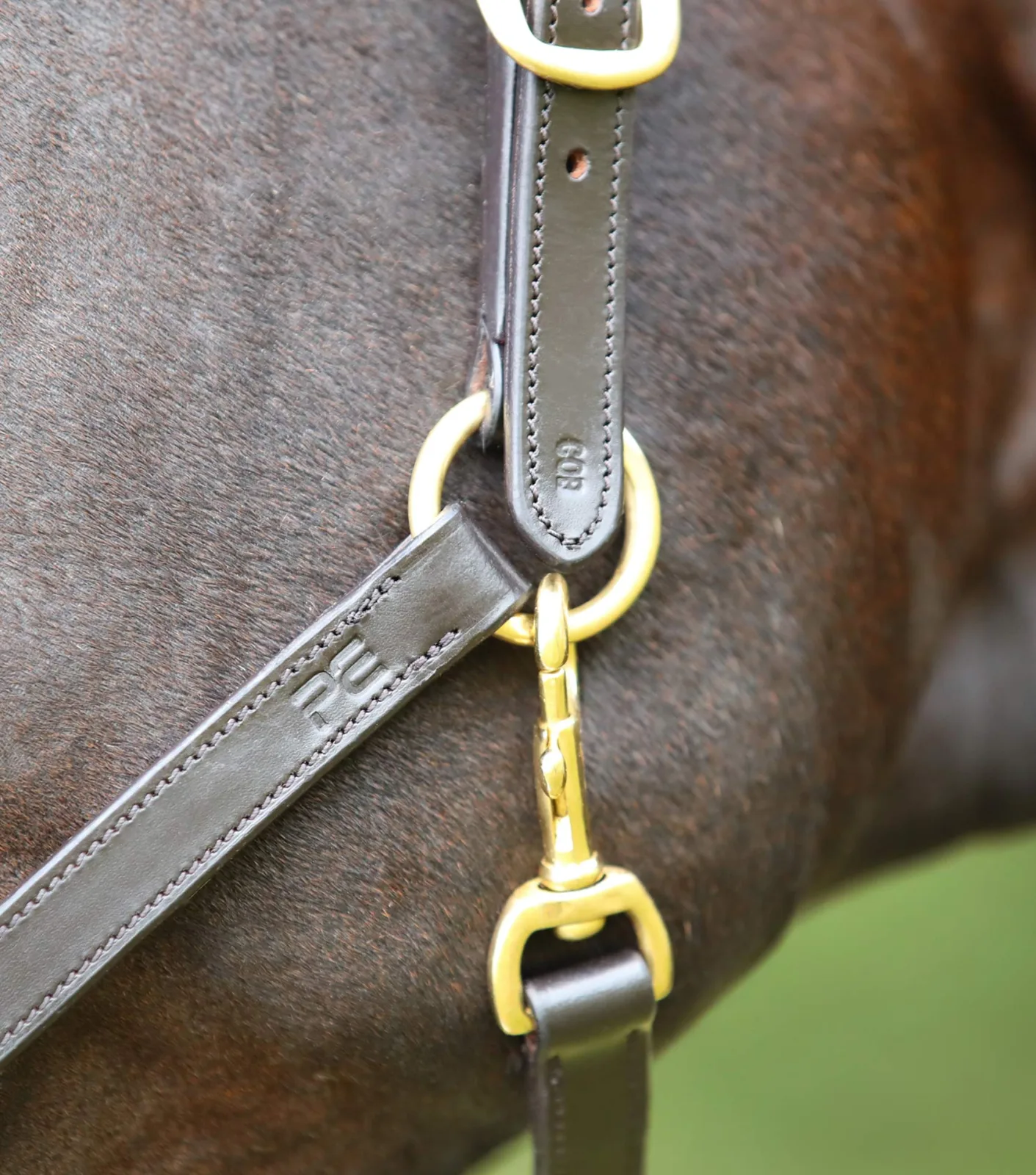 Pasco Plain Leather Head Collar Brown - Image 2