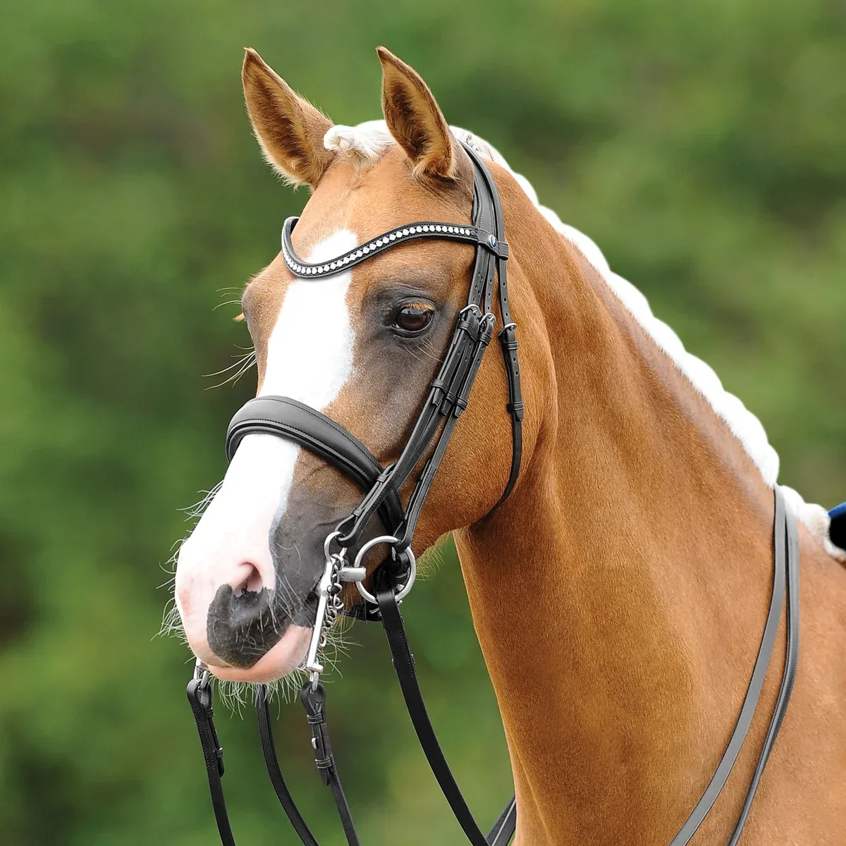 PassierBLU® Dream Double Bridle