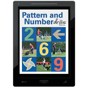Patterns and Number Drills E